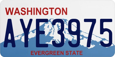 WA license plate AYE3975