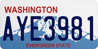 WA license plate AYE3981