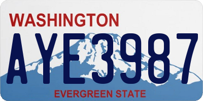 WA license plate AYE3987