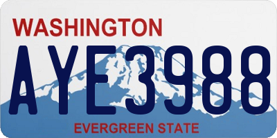 WA license plate AYE3988