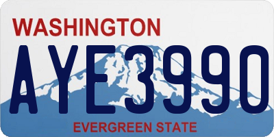 WA license plate AYE3990