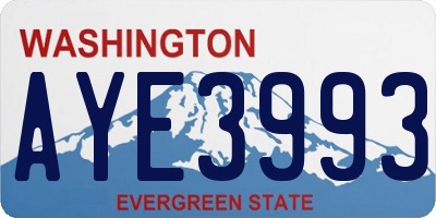WA license plate AYE3993