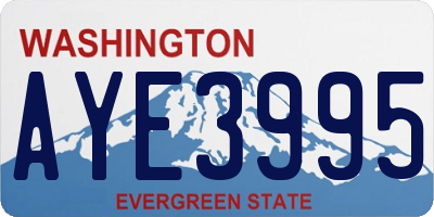WA license plate AYE3995