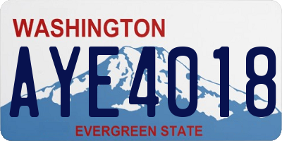 WA license plate AYE4018
