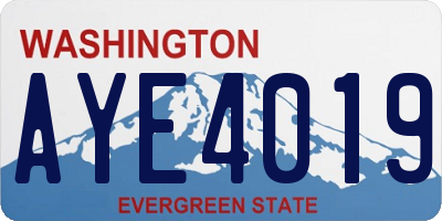 WA license plate AYE4019