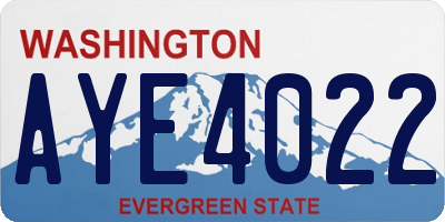 WA license plate AYE4022