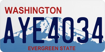 WA license plate AYE4034
