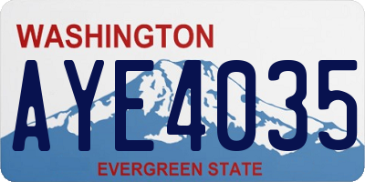 WA license plate AYE4035