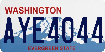 WA license plate AYE4044
