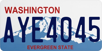 WA license plate AYE4045