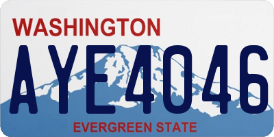 WA license plate AYE4046