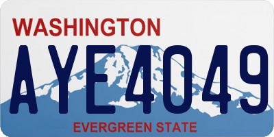 WA license plate AYE4049