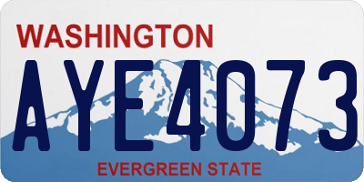 WA license plate AYE4073