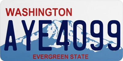 WA license plate AYE4099