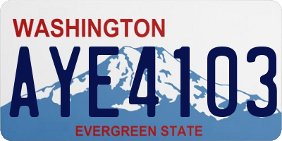 WA license plate AYE4103