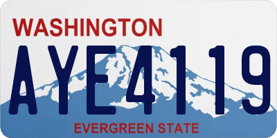 WA license plate AYE4119