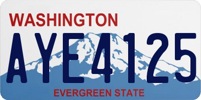 WA license plate AYE4125