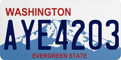 WA license plate AYE4203