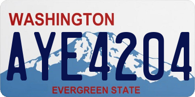 WA license plate AYE4204