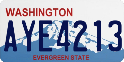 WA license plate AYE4213