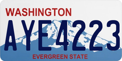 WA license plate AYE4223