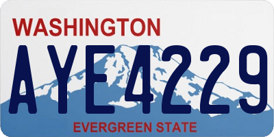 WA license plate AYE4229
