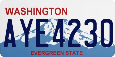 WA license plate AYE4230
