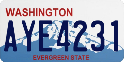 WA license plate AYE4231