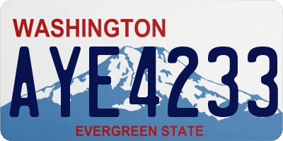 WA license plate AYE4233