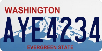 WA license plate AYE4234