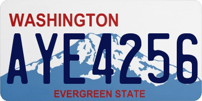 WA license plate AYE4256