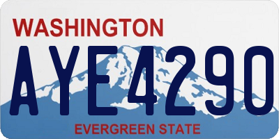 WA license plate AYE4290