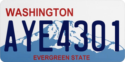 WA license plate AYE4301