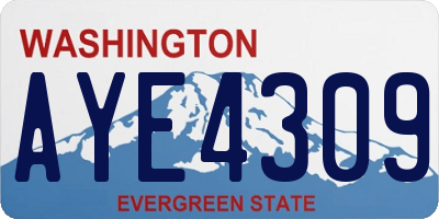 WA license plate AYE4309