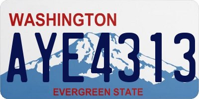 WA license plate AYE4313