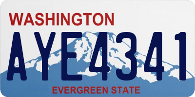 WA license plate AYE4341