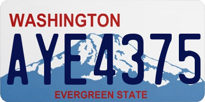 WA license plate AYE4375