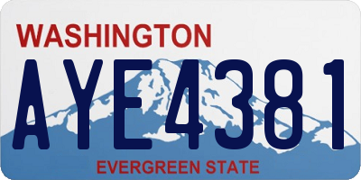 WA license plate AYE4381
