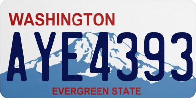 WA license plate AYE4393