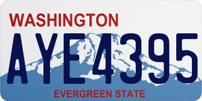WA license plate AYE4395