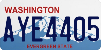 WA license plate AYE4405