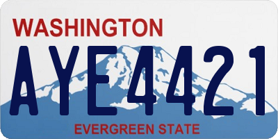 WA license plate AYE4421