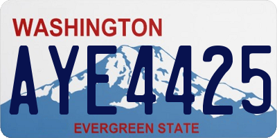 WA license plate AYE4425