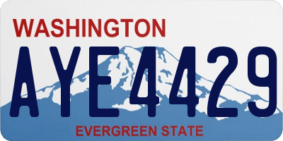 WA license plate AYE4429
