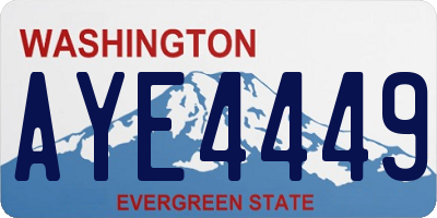 WA license plate AYE4449
