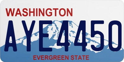WA license plate AYE4450