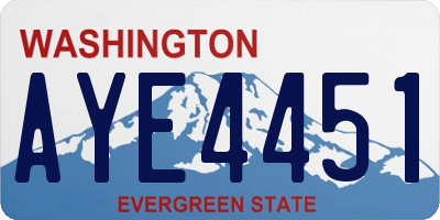 WA license plate AYE4451