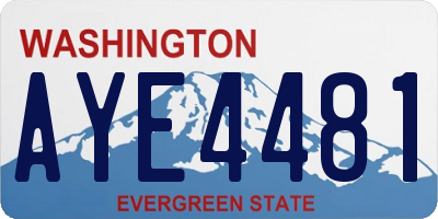 WA license plate AYE4481