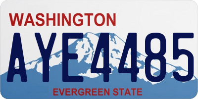 WA license plate AYE4485