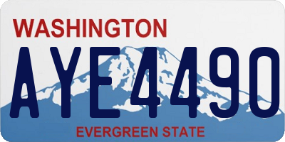 WA license plate AYE4490